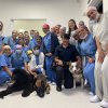 Cães da Guarda Municipal de Santos visitam a Santa Casa